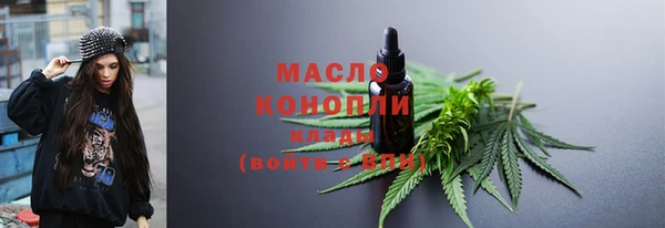 гидра Няндома