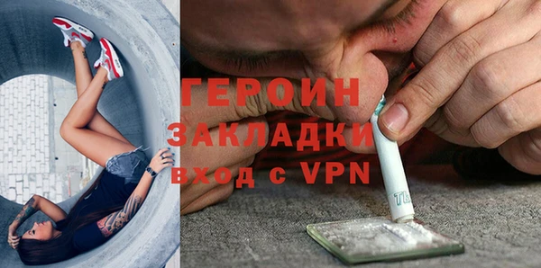 гидра Няндома