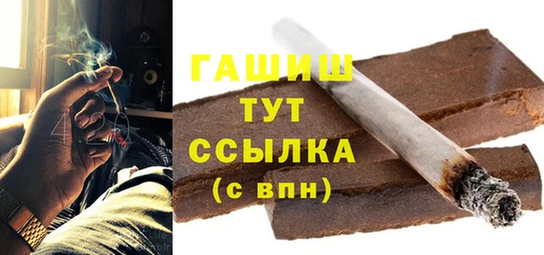 гидра Няндома